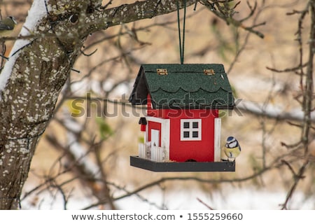 Stock photo: A Birdhouse