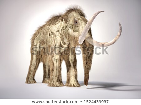 Foto stock: Woolly Mammoth With Skeleton In Ghost Effect Front Perspective