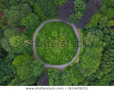 Stockfoto: Roundabout