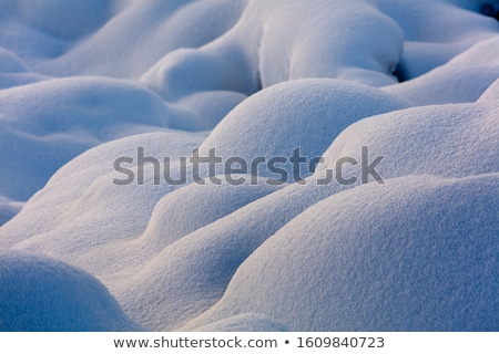 Stock photo: Detail Of Snowdrift Snow Texture