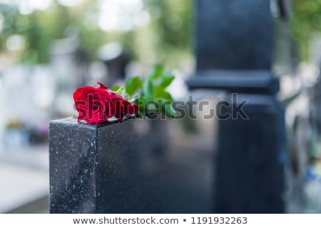 Stock fotó: Single Grave