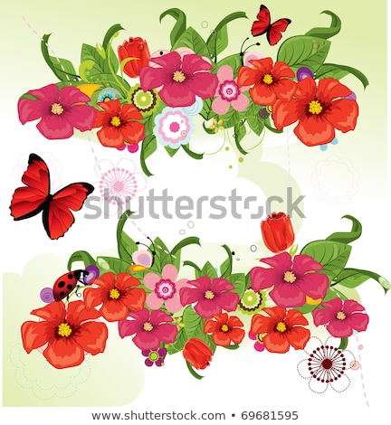 Parterres de fleurs multicolores [[stock_photo]] © Lindwa