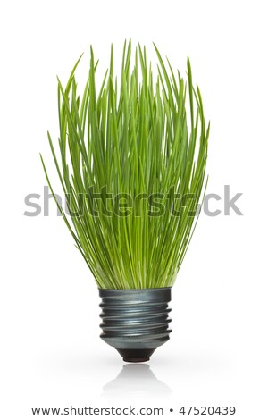 Stok fotoğraf: Bulb With Grass Inside