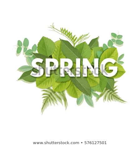 Stok fotoğraf: Spring Sale Word On Leaves Vector Illustration