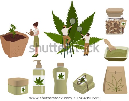 Stock foto: Cannabis Cultivation Concept Vector Illustration