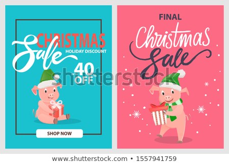 Stok fotoğraf: Final Christmas Sale Pigs And Piglets Winter Hats