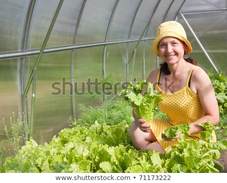 Foto stock: Woman Gardener Working Near Flowers In Greenhouse