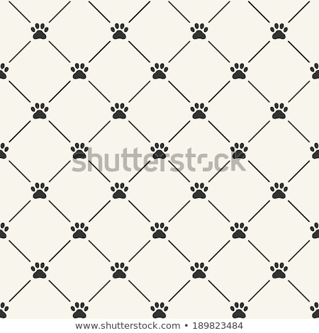 Stok fotoğraf: Dog Paws Steps Imprints Simple Black Silhouette