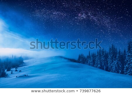 Сток-фото: Winter Night