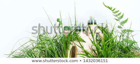 Stockfoto: Environmental Cleaning Products