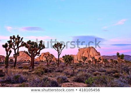 Stockfoto: Scenic Rocks In Joshua Tree National Park