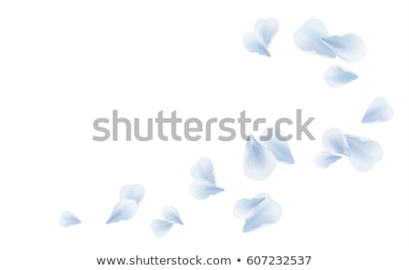 Сток-фото: Blue Flying Flowers