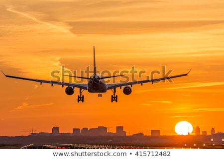 Foto stock: Morning Flight