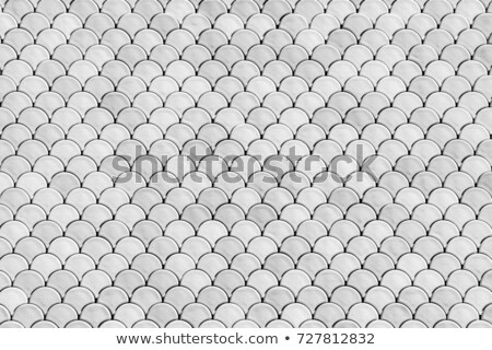 Stock photo: Scales Detail