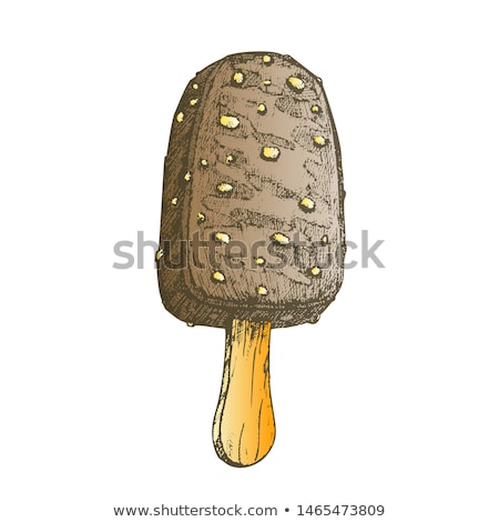 Stock photo: Ice Cream Covering Chocolate And Nuts Ink Vector