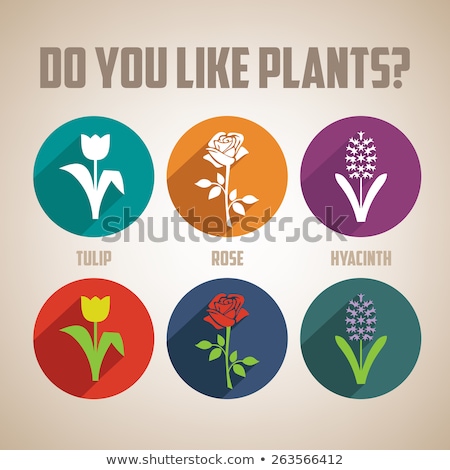 Stockfoto: Rose Icon On A Green Circle Flower Vector Illustration