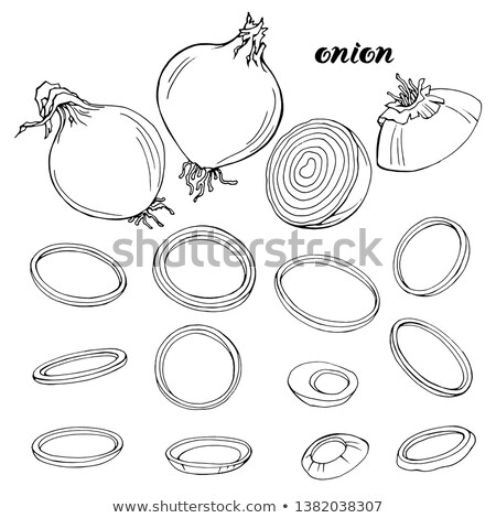 Stock photo: Line Art Onion