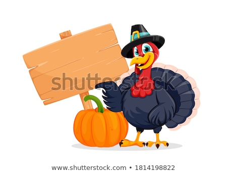 [[stock_photo]]: Happy Thanksgiving Pilgrim With Sign Cartoon Vector Illustration