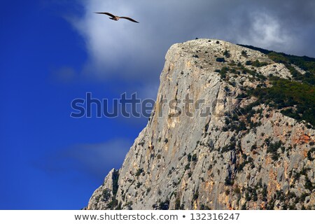 Crimean Rocks Mount Kush Kaya Ukraine Сток-фото © Lizard