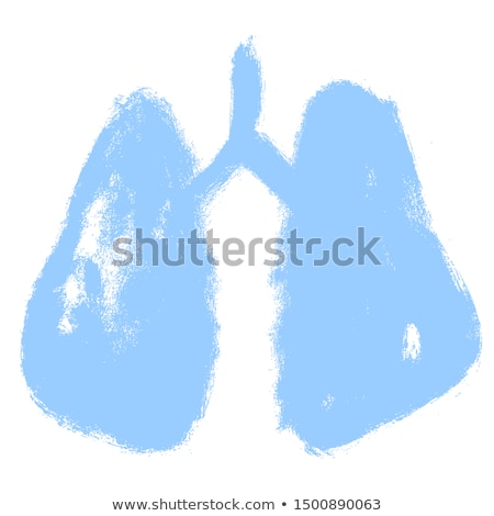 Foto stock: Grunge Human Lungs