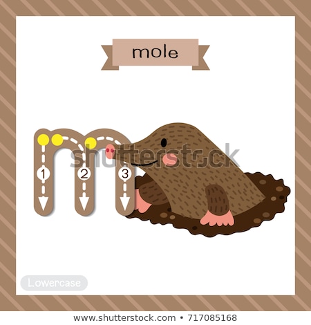 Stok fotoğraf: Flashcard Letter M Is For Mole