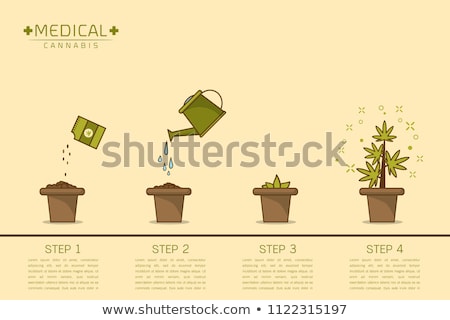 Zdjęcia stock: Cannabis Pot Flat Vector Icon