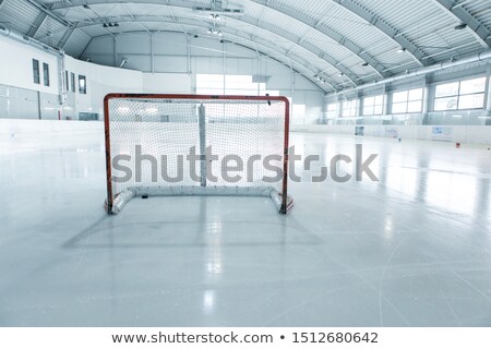 Lines And Trainin Net On Ice Ring [[stock_photo]] © fotoduki