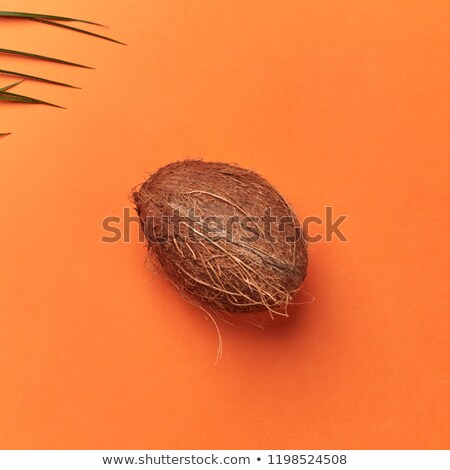Stock fotó: Whole Tropical Coconut And Palm Leaf On An Orange Background With Space For Text Flat Lay