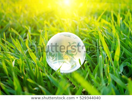 Stockfoto: Earth Globe Laying In The Grass