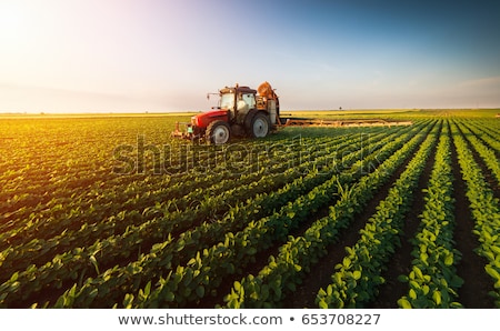 Stock photo: Agriculture