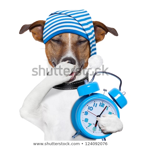 Stok fotoğraf: Sleepyhead Dog