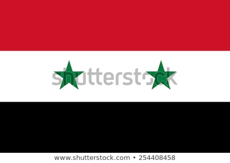 Stock fotó: Syria Flag Vector Illustration