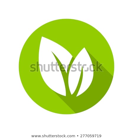 Stock photo: Green Leaf
