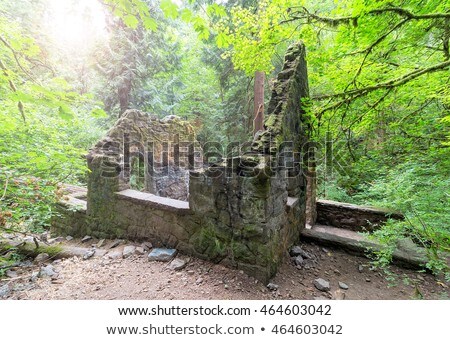 Foto stock: Abandoned Stone House At Wildwood Trail Morning Light