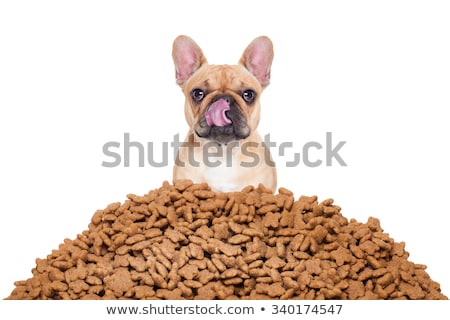 Stockfoto: Hungry Dog In Big Food Mound