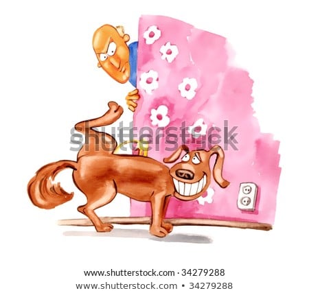 Foto stock: Dog Pee Owner At Home