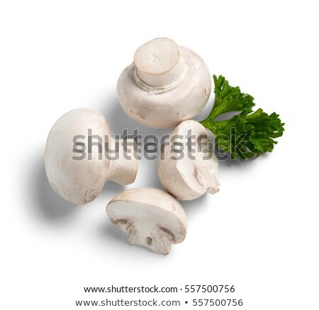 Stock photo: Fresh Mushroom Group