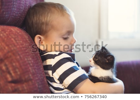 Foto stock: Little Boy With Kitten Indoors Taking Good Time