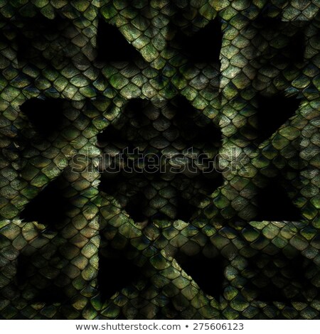 Сток-фото: Snake Pattern Crosswise