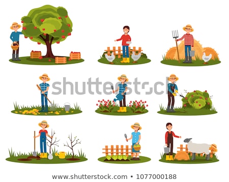 Stock fotó: Picking Apples In Garden Trees And Bushes Outdoors