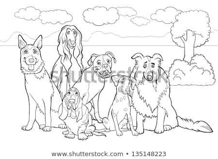 Stockfoto: Differences With Purebred Dogs Color Book