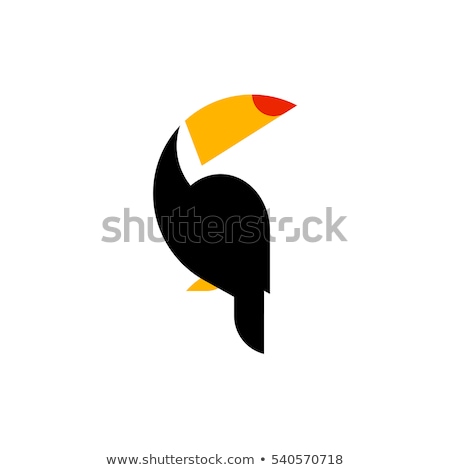 A Toucan On Blank Template Сток-фото © ussr