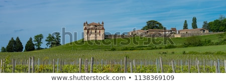 ストックフォト: Vineyard And Chateau De Monbadon Bordeaux Region France