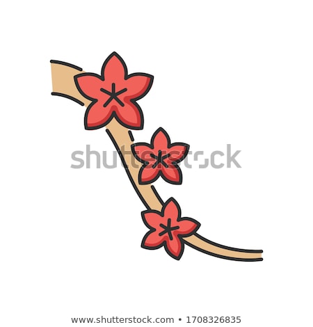 Foto stock: Sakura National China Blossom Tree Color Vector