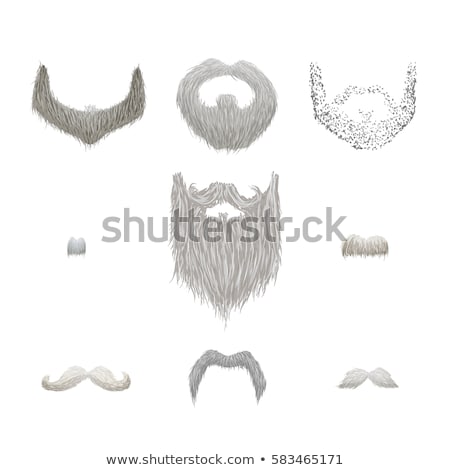 ストックフォト: Set Of Detailed Gray Mustaches And Beards On White