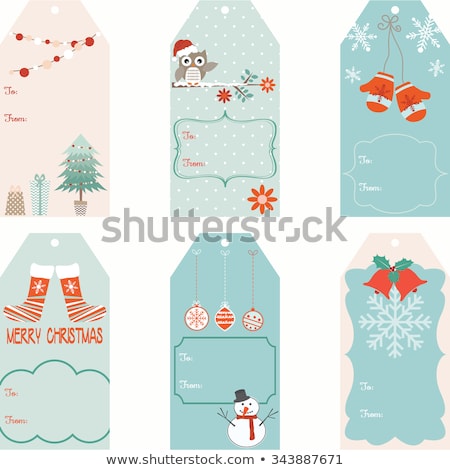 ストックフォト: Blank Gift Tag With Snowman And Bird