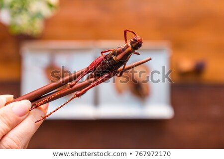 Zdjęcia stock: Thai Food At Market Fried Insects Grasshopper For Snack