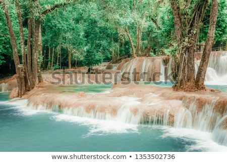 Foto stock: Fantasy Jangle Landscape With Turquoise Pond Water