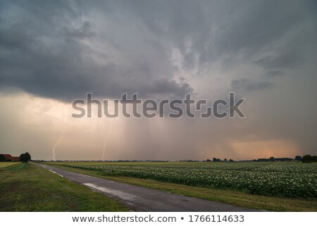 Foto d'archivio: Summer Storm With Thunder Lightnings And Rain