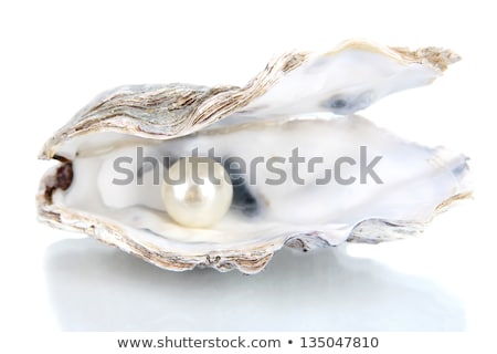 Foto d'archivio: Oysters With Pearls